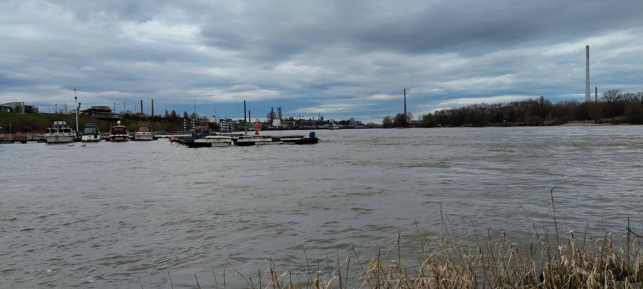 DLRG Leverkusen: Bloß nicht im Rhein baden!
