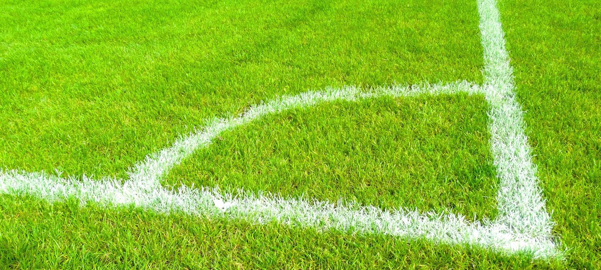 Vor der Fußball-EM: Das planen Leverkusen und Köln