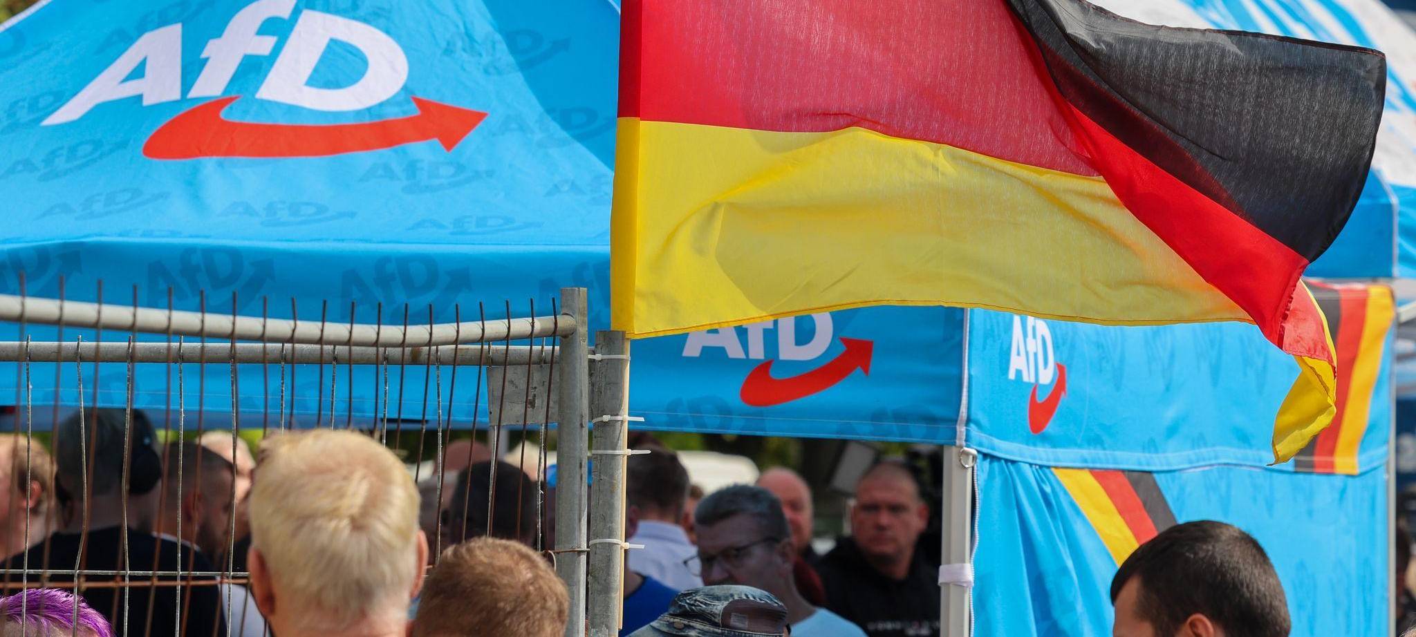 Wahlkampf der AfD