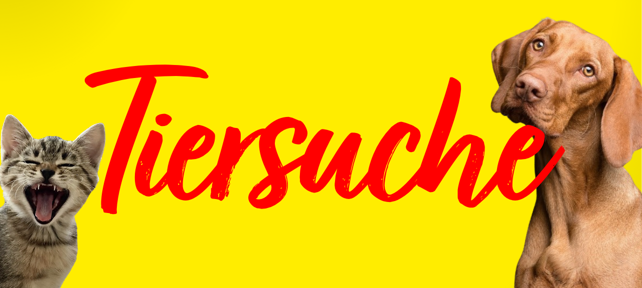 Tiersuche